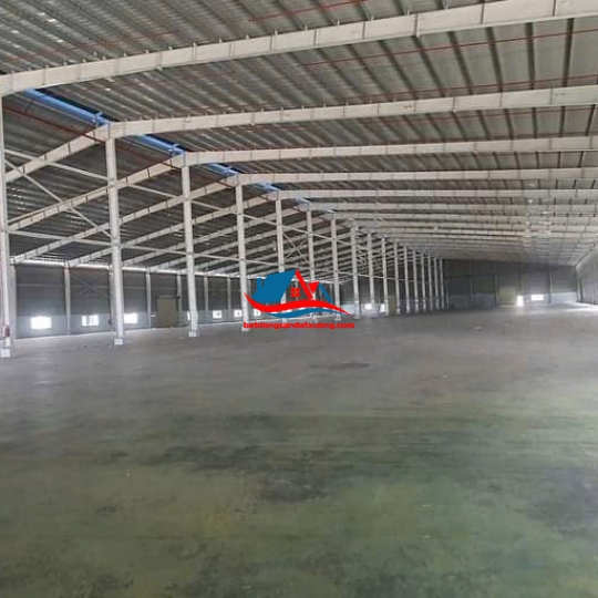 Cho thuê xưởng ở Bàu Bàng, Bình Dương
