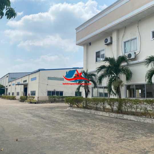 TIN CHO THUÊ XƯỞNG CHƠN THÀNH BÌNH PHƯỚC
