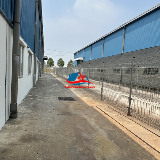 HÓT TIN CHO THUÊ XƯỞNG KCN BÀU BÀNG - BÌNH DƯƠNG