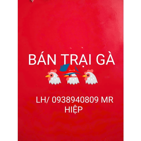 TIN BÁN TRẠI GÀ BÌNH PHƯỚC 